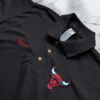 negro bulls 2
