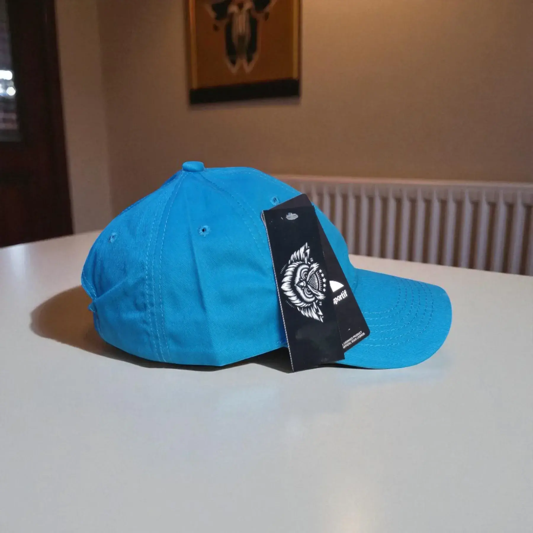 gorra azl turquesa gallo le coq sportif tienda owl (4)